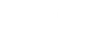 NewNiche
